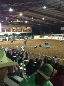 RodeoGiddings415