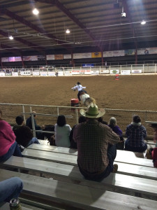 RodeoGiddings715