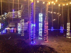 12314139_985188864874558_683467806034986417_n