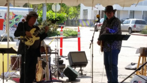 Black Cat Choir performed live music