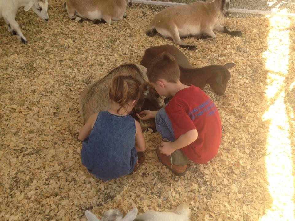 14291906_1075281702557687_5885988143571794001_n