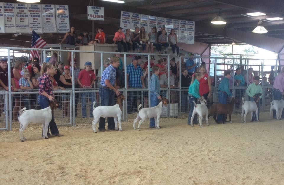 14322391_1075283972557460_6579599876000037527_n